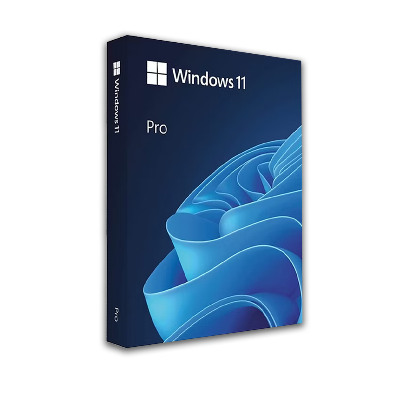 Windows 11 Pro